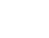OBM-whitePanther