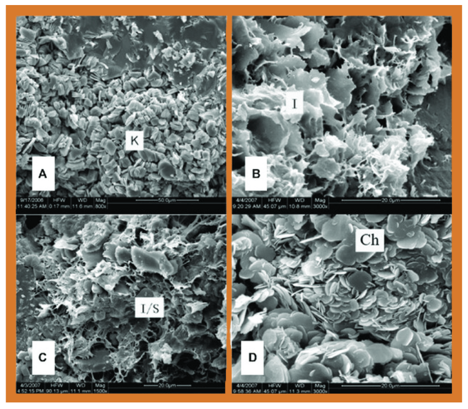Best Practices for Clay Control & Fines Migration