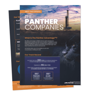 Meet the Panther