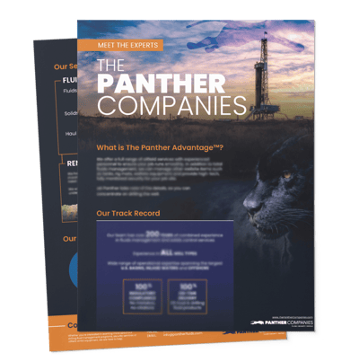 PANTHER Flyer