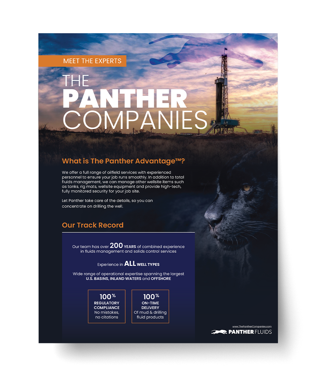 PANTHER-MeetPantherFlyer-THUMB(2025)